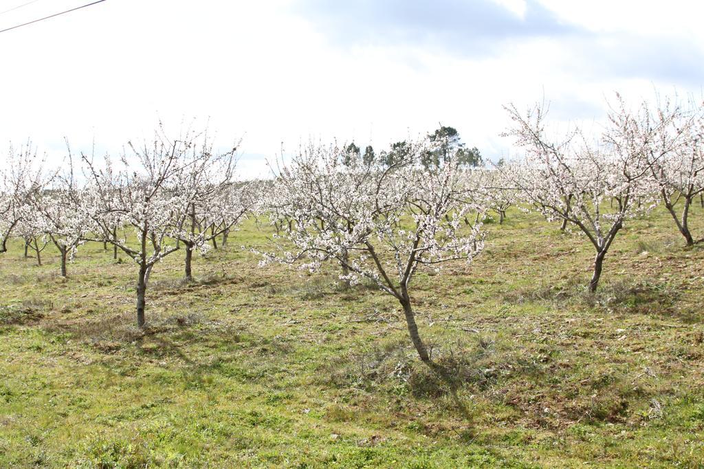 Alojamento Rural De Vales Vales  Bagian luar foto